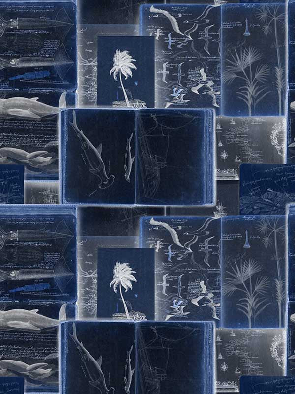 Seamans Journal fabric in indigo color - pattern number WP20561 - by Mind the Gap in the Sundance Villa collection