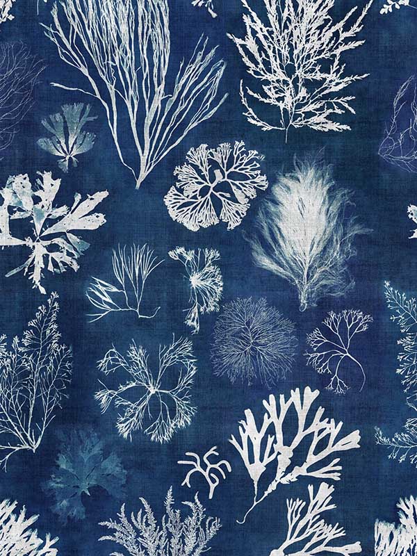 Algae fabric in navy blue color - pattern number WP20297 - by Mind the Gap in the Wallpaper Collectables collection