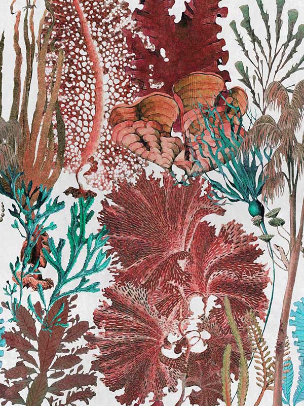 Coral Reef fabric in red white blue color - pattern number WP20299 - by Mind the Gap in the Wallpaper Collectables collection
