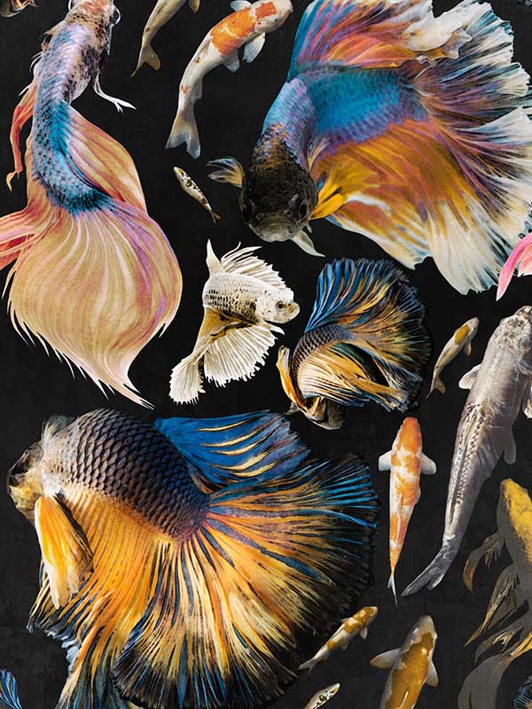 Goldfish fabric in anthracite blue yellow black color - pattern number WP20301 - by Mind the Gap in the Wallpaper Collectables collection