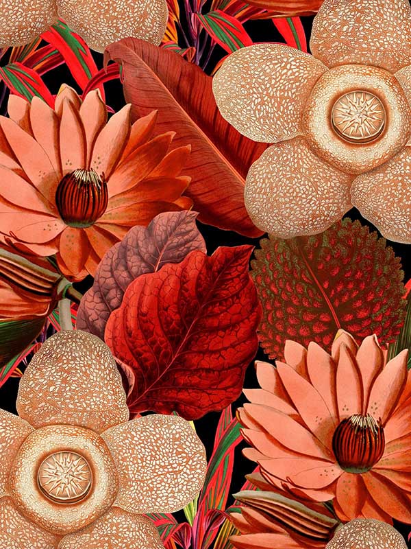 Water Lilies fabric in red black color - pattern number WP20316 - by Mind the Gap in the Wallpaper Collectables collection