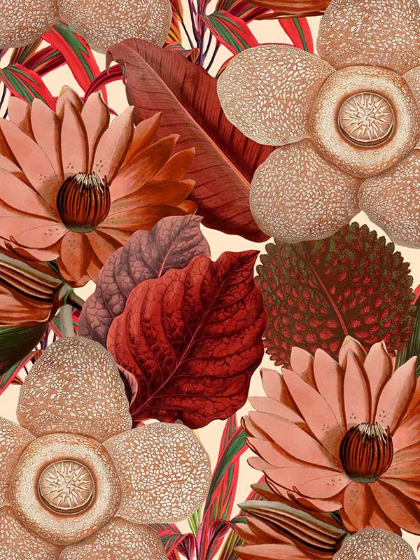 Water Lilies fabric in taupe color - pattern number WP20317 - by Mind the Gap in the Wallpaper Collectables collection