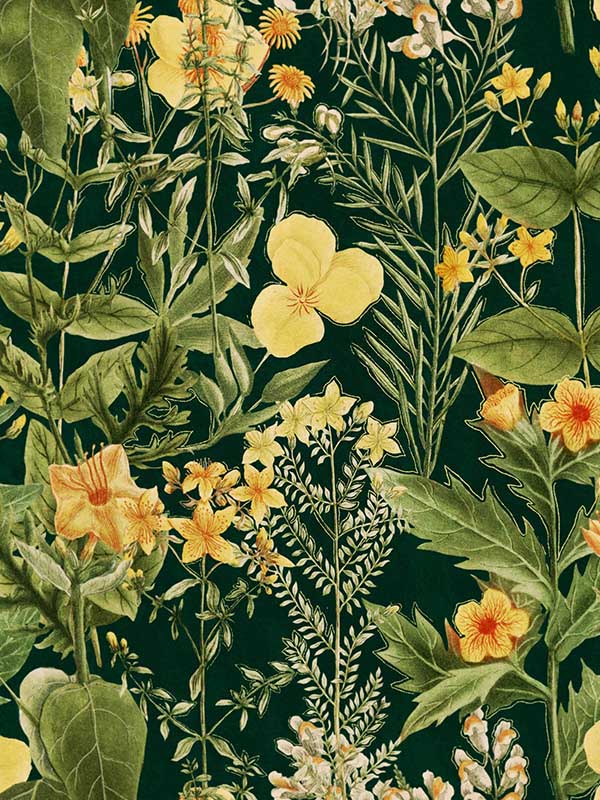 Mimulus fabric in anthracite green yellow color - pattern number WP20322 - by Mind the Gap in the Wallpaper Collectables collection