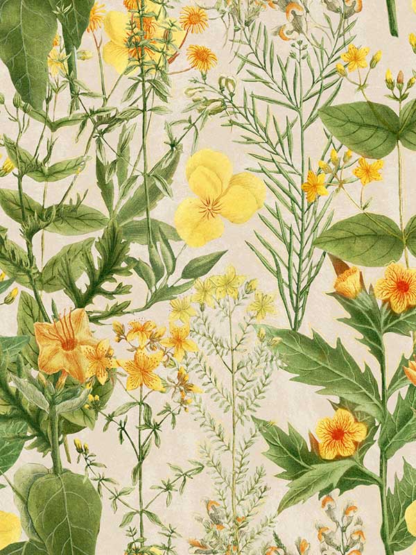Mimulus fabric in green yellow taupe color - pattern number WP20323 - by Mind the Gap in the Wallpaper Collectables collection