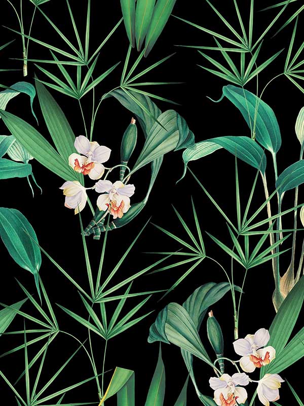 Palm Springs wallpaper in anthracite green white black color - pattern number WP20360 - by Mind the Gap in the Wallpaper Collectables collection