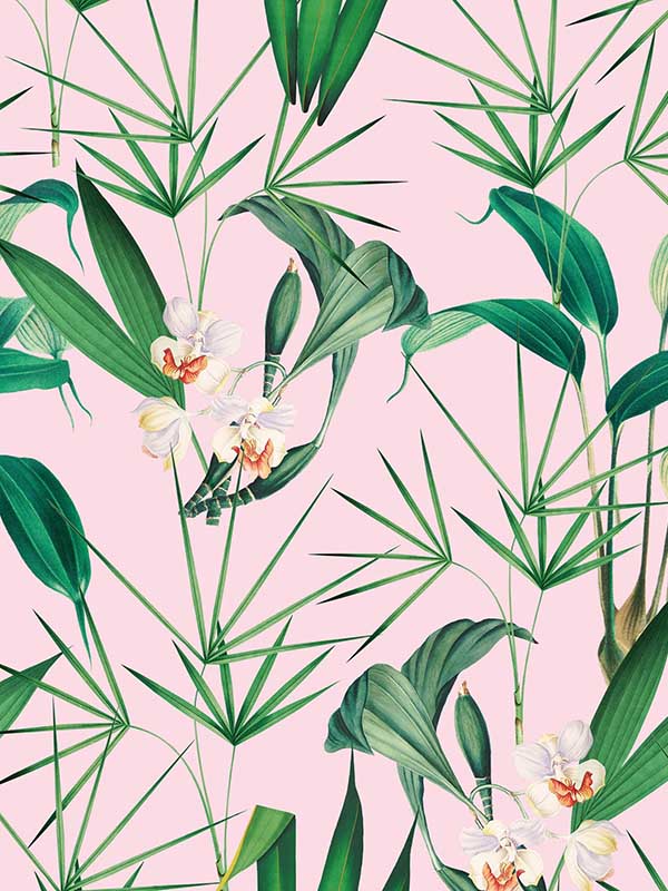 Palm Springs wallpaper in green white pink color - pattern number WP20361 - by Mind the Gap in the Wallpaper Collectables collection