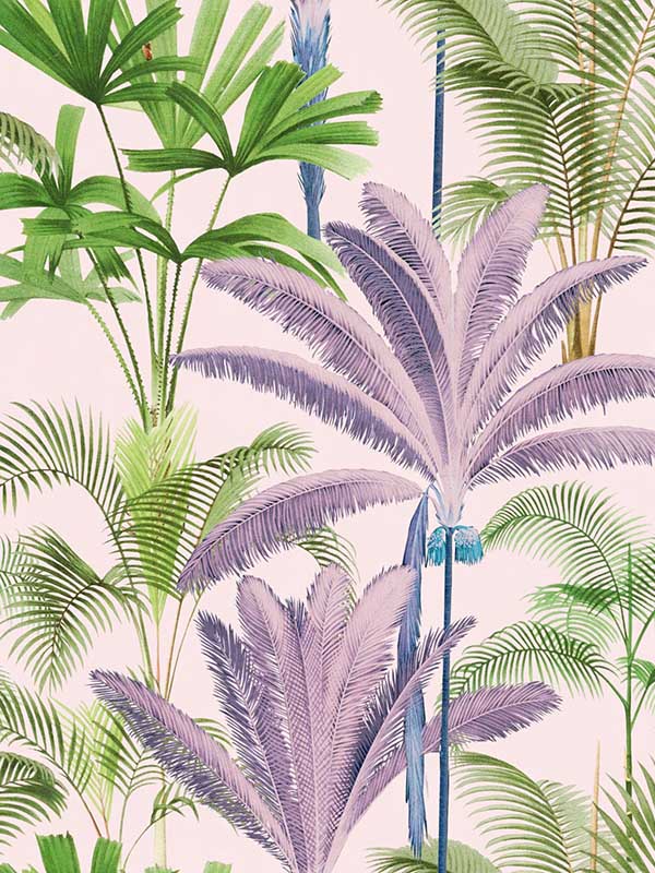 Palmeras wallpaper in green pink purple color - pattern number WP20363 - by Mind the Gap in the Wallpaper Collectables collection