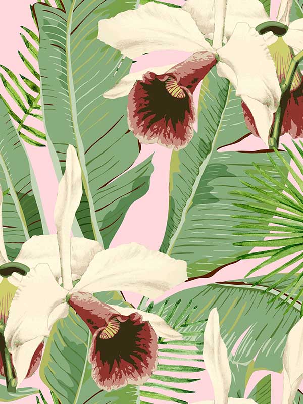 Treasure Island wallpaper in pink color - pattern number WP20365 - by Mind the Gap in the Wallpaper Collectables collection