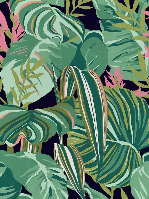 Tropical Foliage wallpaper in anthracite green black pink color - pattern number WP20366 - by Mind the Gap in the Wallpaper Collectables collection