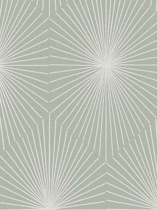 Astra fabric in orion color - pattern number SR2105 - by Koroseal in the Grounded Collection collection