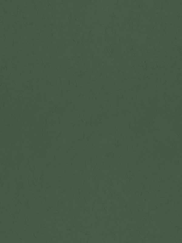Parget Eklov Textured fabric in dark green color - pattern number 4153-77001 - by A Street Prints in the Hidden Treasures Volume 1 collection