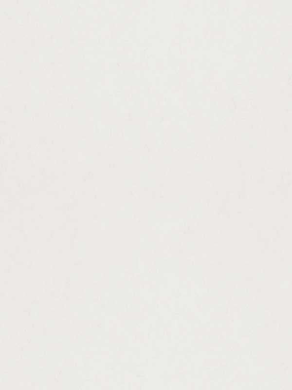 Parget Aggskal Textured fabric in eggshell color - pattern number 4153-77019 - by A Street Prints in the Hidden Treasures Volume 1 collection