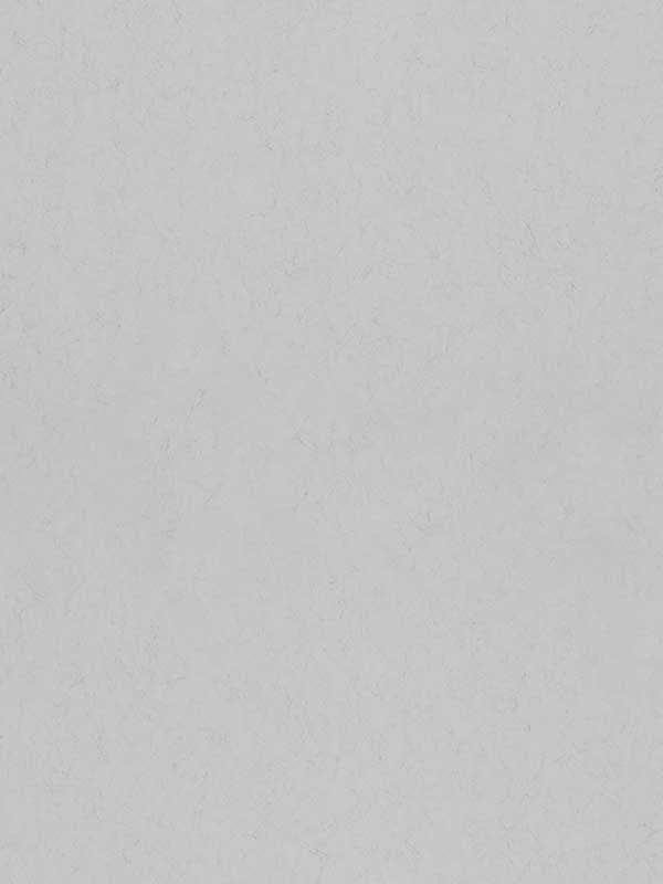 Parget Morgondis Textured fabric in light grey color - pattern number 4153-77029 - by A Street Prints in the Hidden Treasures Volume 1 collection