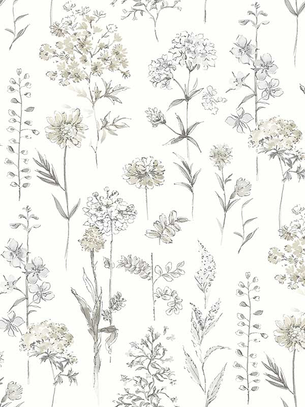Bergamot Wildflower wallpaper in light grey color - pattern number 4134-72501 - by Chesapeake in the Wildflower collection