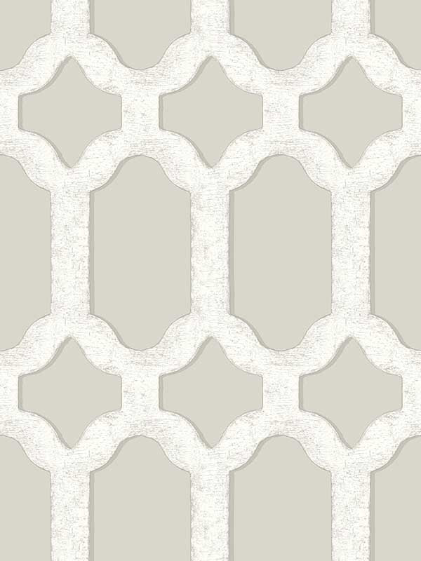 Chervil Trellis wallpaper in light grey color - pattern number 4134-72544 - by Chesapeake in the Wildflower collection