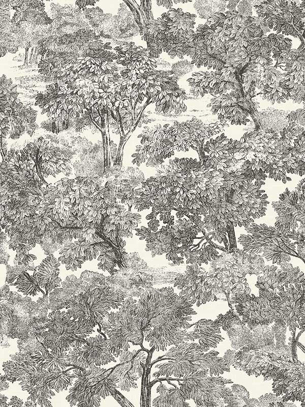 Spinney Toile fabric in black color - pattern number 4134-72558 - by Chesapeake in the Wildflower collection