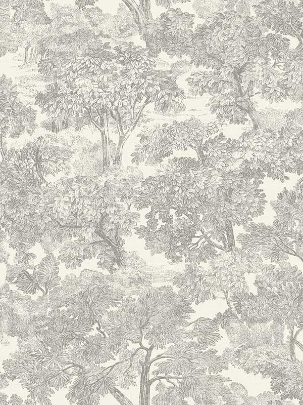 Spinney Toile fabric in grey color - pattern number 4134-72560 - by Chesapeake in the Wildflower collection