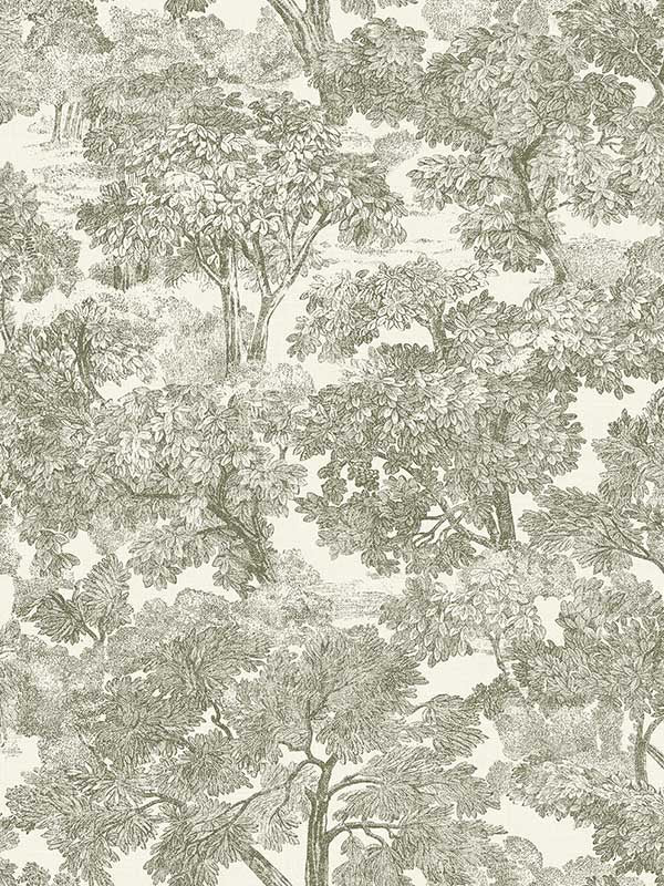Spinney Toile fabric in green color - pattern number 4134-72561 - by Chesapeake in the Wildflower collection