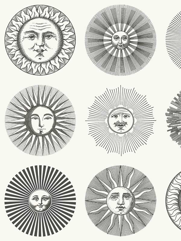 Soli fabric in black and white color - pattern number 123/1001.CS.0 - by Cole and Son in the Fornasetti Senza Tempo II collection