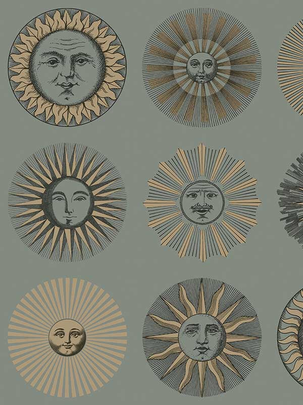 Soli fabric in sage and rose gold color - pattern number 123/1003.CS.0 - by Cole and Son in the Fornasetti Senza Tempo II collection