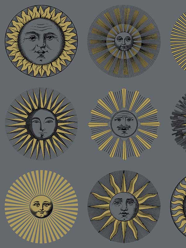 Soli fabric in midnight and soft gold color - pattern number 123/1004.CS.0 - by Cole and Son in the Fornasetti Senza Tempo II collection