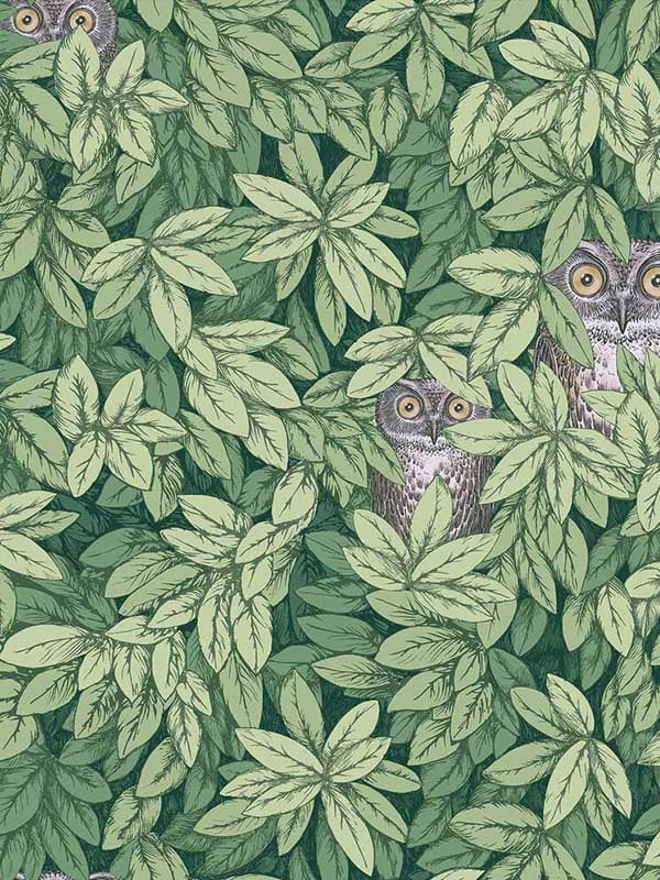 Foglie E Civette wallpaper in green color - pattern number 123/11054.CS.0 - by Cole and Son in the Fornasetti Senza Tempo II collection