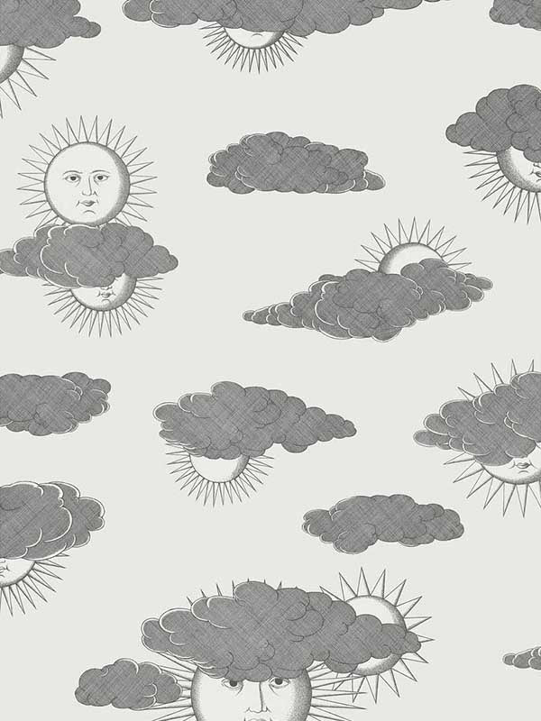 Soli E Nuvole fabric in black white color - pattern number 123/2007.CS.0 - by Cole and Son in the Fornasetti Senza Tempo II collection