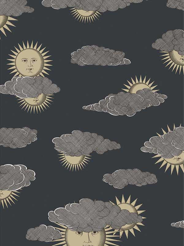 Soli E Nuvole fabric in gold silver color - pattern number 123/2008.CS.0 - by Cole and Son in the Fornasetti Senza Tempo II collection