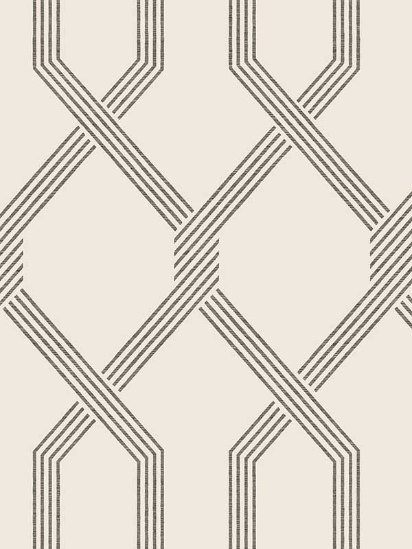 Palisade wallpaper in black color - pattern number GT4552 - by Ronald Redding in the Classics collection