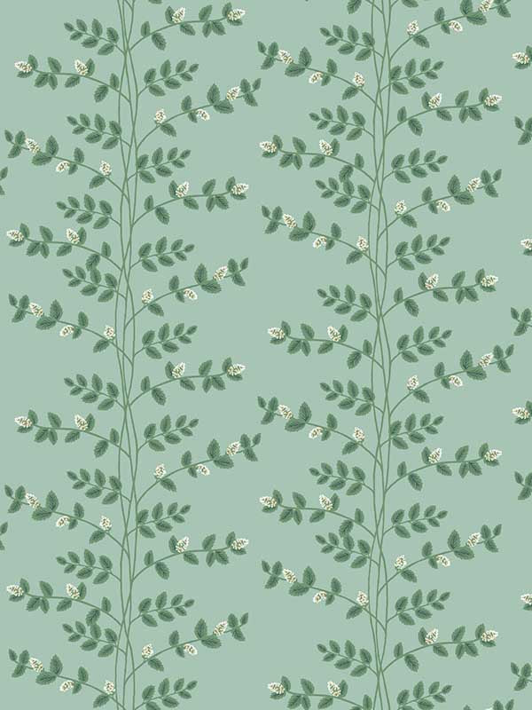 Climbing Vine fabric in soft teal color - pattern number RF7421 - by Rifle Paper Co in the Rifle Paper Co Third Edition collection
