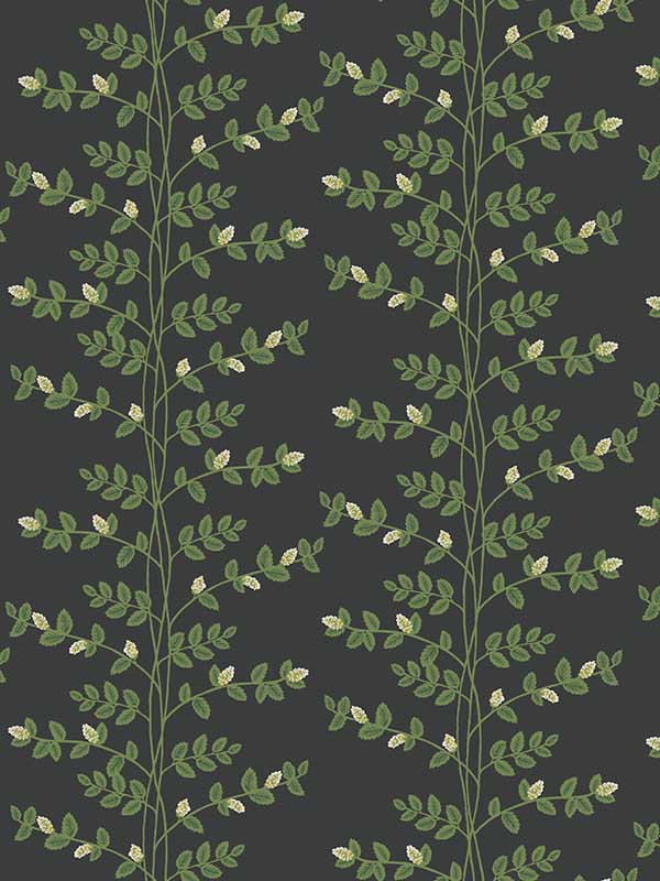 Climbing Vine fabric in black color - pattern number RF7422 - by Rifle Paper Co in the Rifle Paper Co Third Edition collection