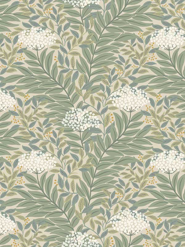 Highgrove wallpaper in linen color - pattern number RF7502 - by Rifle Paper Co in the Rifle Paper Co Third Edition collection