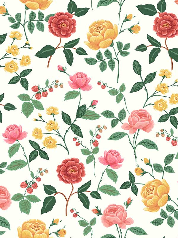Roses wallpaper in blush color - pattern number RF7546 - by Rifle Paper Co in the Rifle Paper Co Third Edition collection