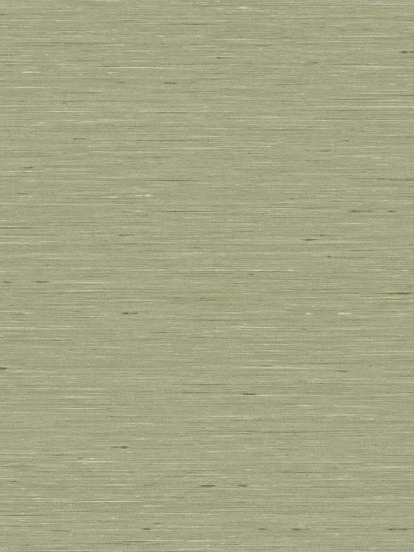 Bangkok fabric in fall green color - pattern number GT35119 - by Seabrook in the Linen and Silk Textures collection