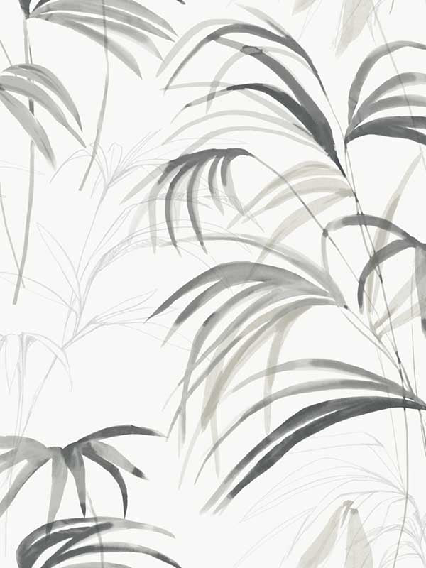 Inky fabric in black color - pattern number NT6123 - by Candice Olson in the Natural Discovery collection