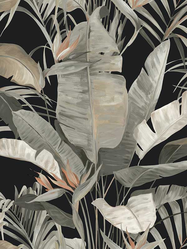 Tropical fabric in black color - pattern number NT6135 - by Candice Olson in the Natural Discovery collection