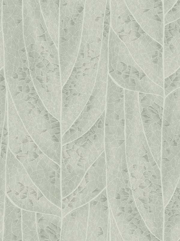 Dicot wallpaper in spa color - pattern number NT6141 - by Candice Olson in the Natural Discovery collection
