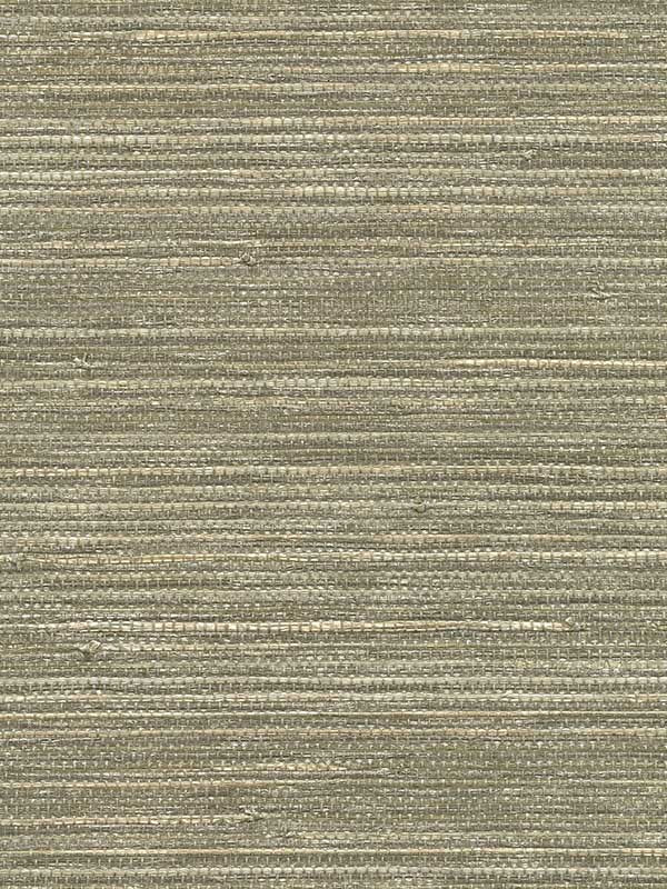 Grasscloth W3464 fabric in beige silver grey color - pattern number W3464.1611.0 - by Kravet in the Elements II Naturals collection
