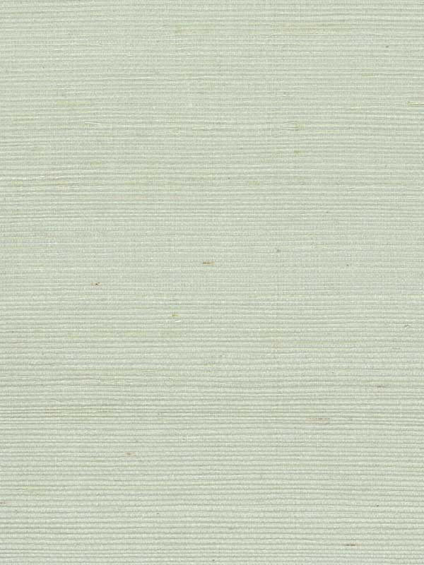 Sisal W4003 fabric in spa light blue green color - pattern number W4003.15.0 - by Kravet in the Elements II Naturals collection