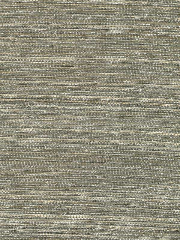 Grasscloth W3446 wallpaper in light grey beige silver color - pattern number W3446.1611.0 - by Kravet in the Elements II Naturals collection