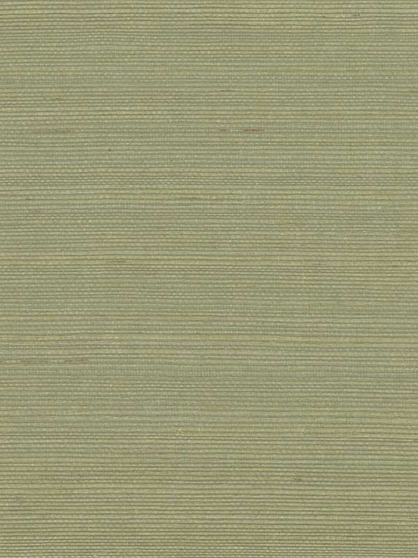 Sisal W4003 fabric in green olive green color - pattern number W4003.303.0 - by Kravet in the Elements II Naturals collection