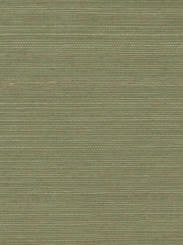 Sisal W4003 fabric in sage olive green green color - pattern number W4003.30.0 - by Kravet in the Elements II Naturals collection