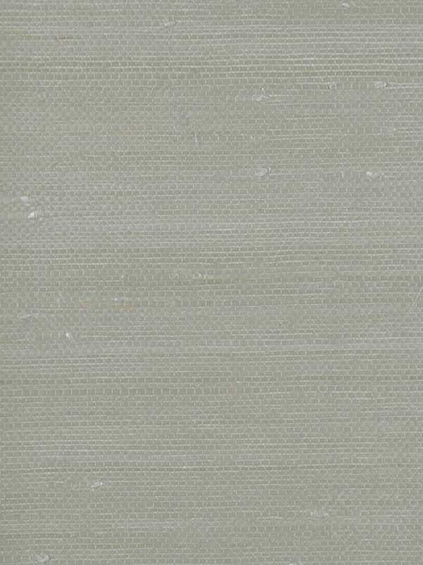 Grasscloth W3107 wallpaper in grey color - pattern number W3107.11.0 - by Kravet in the Elements II Naturals collection