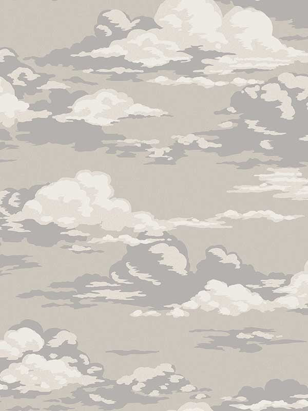 Cumulus Clouds fabric in neutral color - pattern number 4164-M1809 - by Advantage in the Westbury Forest collection