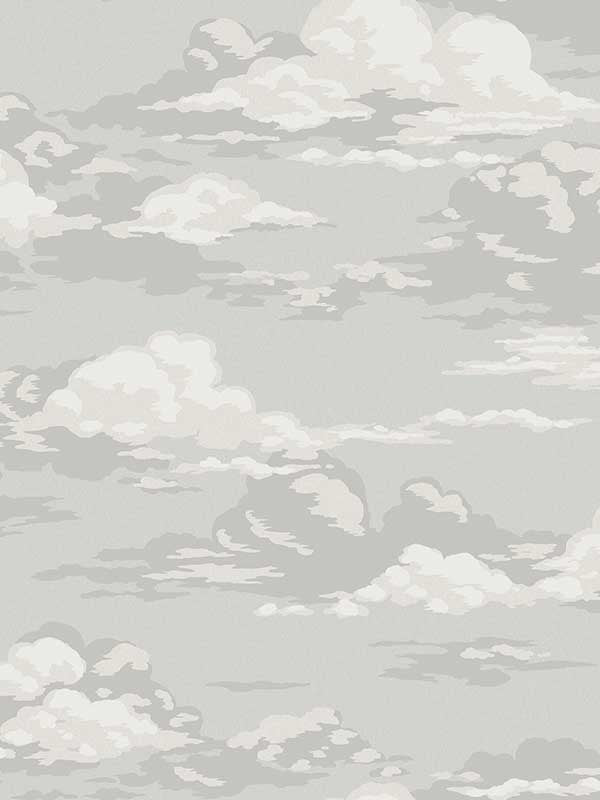 Cumulus Clouds fabric in grey color - pattern number 4164-M1810 - by Advantage in the Westbury Forest collection