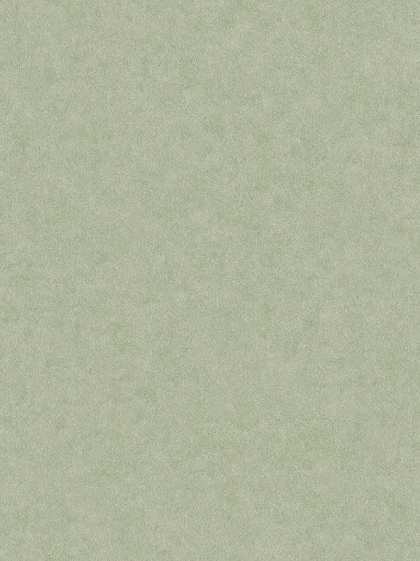 Heritage Plain fabric in green color - pattern number 4164-M1837 - by Advantage in the Westbury Forest collection