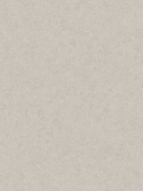 Heritage Plain fabric in dark grey color - pattern number 4164-M1839 - by Advantage in the Westbury Forest collection