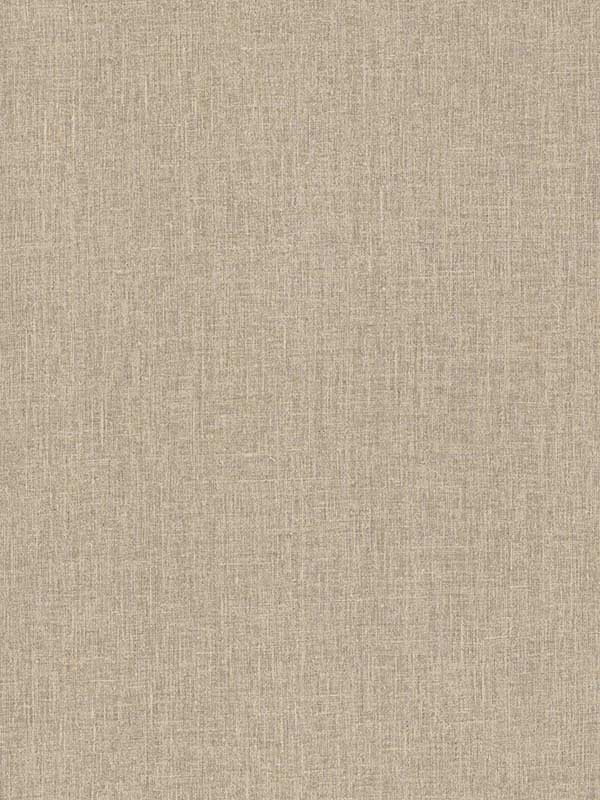 Cromie Texture wallpaper in taupe color - pattern number 4135-6910 - by A Street Prints in the Whimsy collection