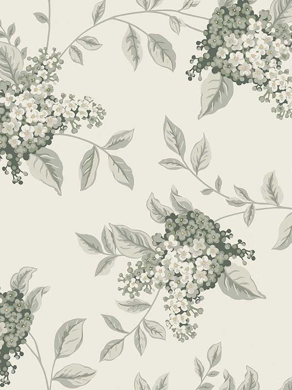 Portland fabric in fern color - pattern number 127393 - by Laura Ashley in the Laura Ashley Collection II collection