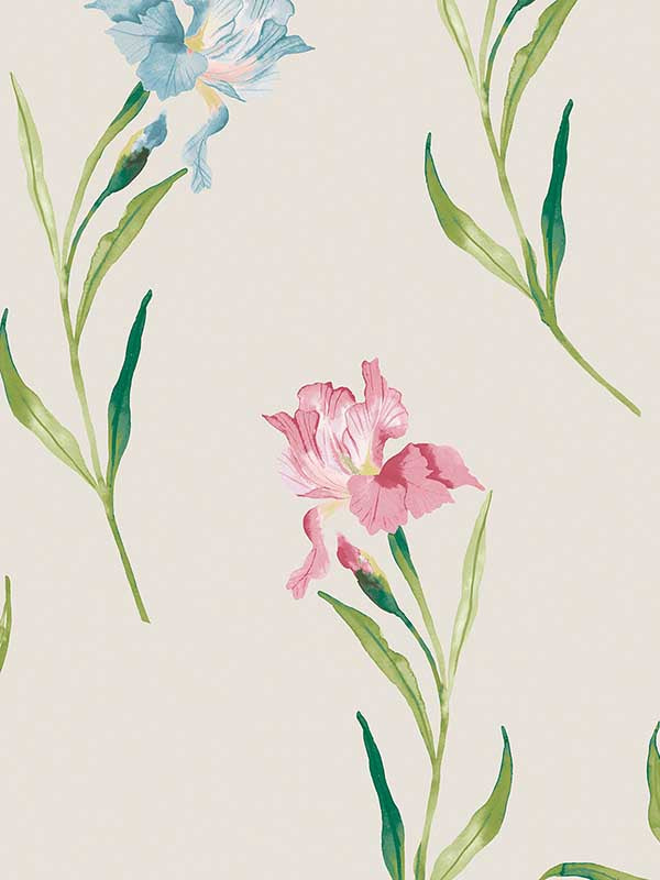 Hawling Irises fabric in soft natural color - pattern number 127400 - by Laura Ashley in the Laura Ashley Collection II collection